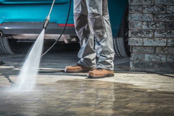 Best Pre-Holiday Cleaning  in Homewood, IL